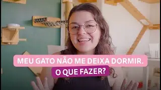 O SEGREDO por tr&aacute;s do &ldquo;Gato territorialista&rdquo; (e como o Whiskas Sach&ecirc; pode ajudar!)