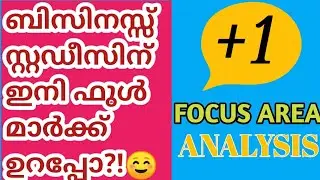 PLUSONE BUSINESS STUDIES | FOCUS AREA | ANALYSIS