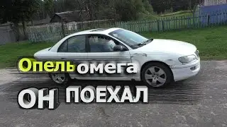 Опель омега Б (Opel Omega B) не запускается мотор оживление #OPELOMEGA #опельомегаб