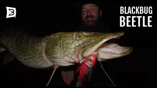 BlackBug Beetle: A GAMECHANGER for catching PIKE