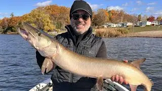 Fall Musky Fishing 2025 - Figure 8 B@#$%!