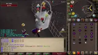Roatpkz Duo