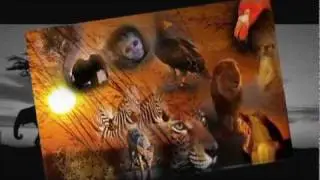 Pulsating beat of african drums!
