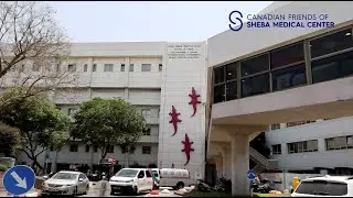 Coexistence at Sheba Medical Center