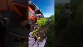 Yummy virgo patiis dh track