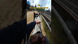 POV: You're robbing a town ~~~ #wildwest #western #bandits #horse #revolver #shootout #stunt #pov