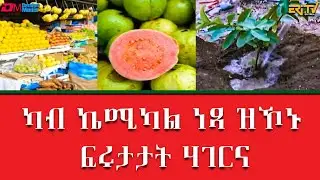 ካብ ኬሚካል ነጻ ዝኾኑ ፍሩታታት ሃገርና | Organic fruits and vegetables in Eritrea - ERi-TV