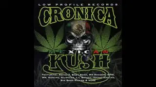 13 Wheres The Chronic
