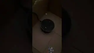 When you got to sing, you got to sing