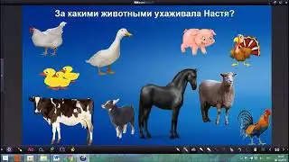 Урок 19  Эффекты в RM Easiteach Next Generation  Прозрачный цвет