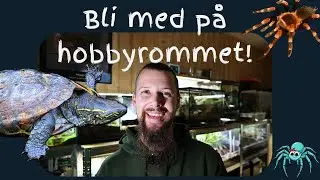 Bli med inn i hobbyrommet mitt | Kryp & Krabater