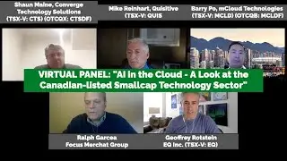 VIRTUAL PANEL: 