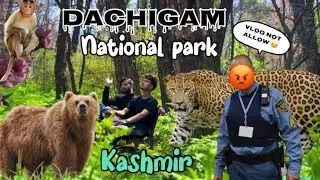 National park dachigam Kashmir ?not allowed vlog 😒’itna janwar ha yahe kya 😱
