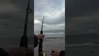 Catching 45 cm Trevally from the Beach During Winter Time!!! | NZ Fishing Adventure