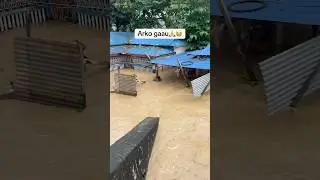Saarei dukha laagdo vayeko chha jhapa gaaupaalika😭🙏 #jangey #news #floodmanagement #staysafe