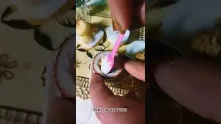 #miniaturerealcoconut #coconut #coconutdessert #realcoconut #coconutsweetrecipe #youtubeshorts