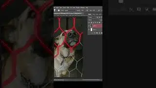 Remove cage from photo easily in Photoshop tutorial🤯😱 #photoshop #photoshoptutorial #pseditkaar