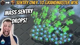 The Sentry Drops are INCREDBILE! | Sentry Only to Grandmaster #16 StarCraft 2