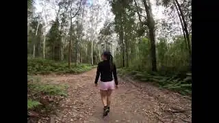 Hike - Shaw's Ridge Trail, Blue Mountains, Australia (GoPro Hero11 TimeWarp 4K Video)