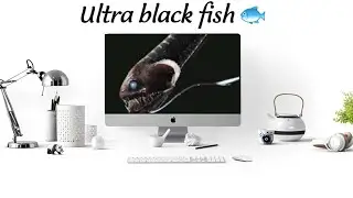 Ultra black fish that eat light
