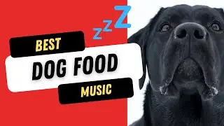 Best Dog Food Music - Calming Music While Your Dog Eats!