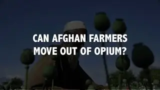 Can Afghan farmers move out of opium?
