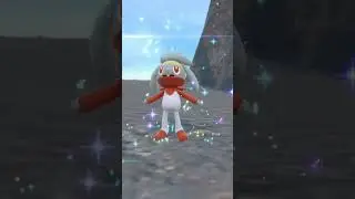 SHINY Scorbunny Evolve to SHINY Cinderace - Pok&eacute;mon Scarlet and Violet #pokemonviolet #shinypokemon