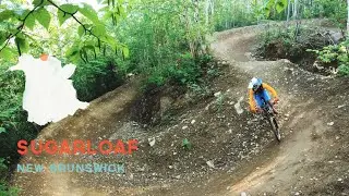 Downhill Mountain Biking at Sugarloaf Bike Park in Campbelltown, New Brunswick