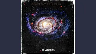Galaxy in Bloom