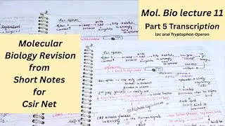 Molecular Biology Revision | Short Notes for CSIR NET, GATE, DBT, ICMR