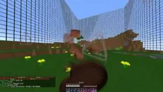 Kohi Lets Play 1