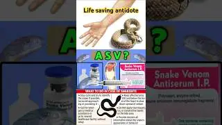 Snake anti venom vaccine | Snake bite treatment | Anti snake venom #viralvideo