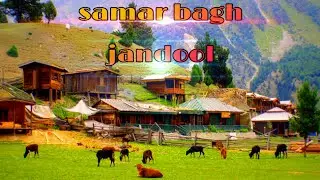 Samar bagh || jandool || Dir lower  towar abbas khilve