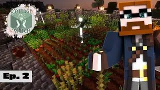 A Murder of Crows 🐦‍⬛ Cottage Witch Modded Minecraft - Episode 2