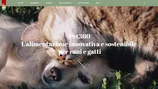 Pet360 New Web