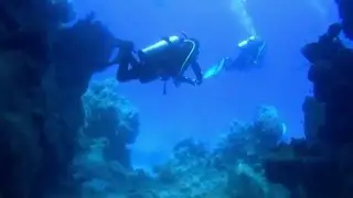 Safari St John's | Egypt | Centrum Nurkowe Gdynia Dive