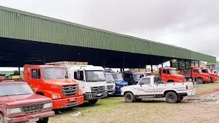 CEASA DE TIANGUÁ CEARA MUITA FARTURA FRUTAS E VERDURAS