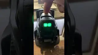 How to get Vector&rsquo;s serial number?