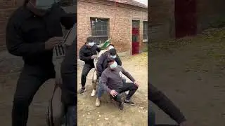Blindfolded challenge, blindfolded big pendulum! Men's Simple Joy New Countryside Project