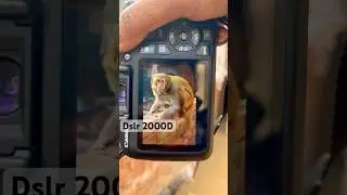 Canon 2000D 📸 #dslr #photographer #dslrcamara #photography #dslrpic #photoediting #dslrlovers