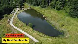 Another best catch in my fishing venture | fly fishing