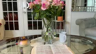 @drjosefina 