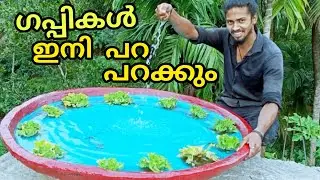 how to make a cement fish tank🐟 ഈസി ആയി ഇനി നിങ്ങൾക്കും മീൻകുളം നിർമിക്കാം