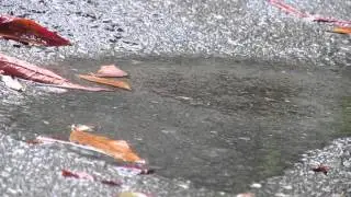 Puddle Communication Project 2