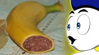 30+ Weirdest Things Found On The Internet