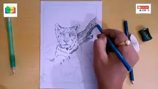 #how to draw easy Jaguar pencil sketch #drawing #kids #beginners #tiger#wildlife #art#youtube#viral