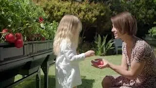 Vegepod Self-Watering Small Container Garden with Stand & Cover on QVC