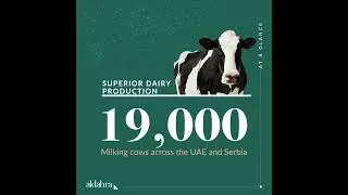 Al Dahra Sample Video