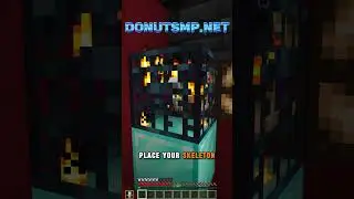 The BEST Shulker Bone Loader Design for DonutSMP Players!  #donutsmp #minecraft  #drdonutt