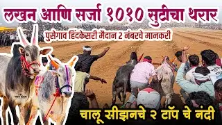 लखन आणि सर्जा १०१० सुटीचा थरार पुसेगाव हिंदकेसरी मैदान २ नंबरचे मानकरी